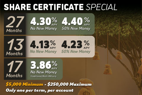 Share Certificate Specials