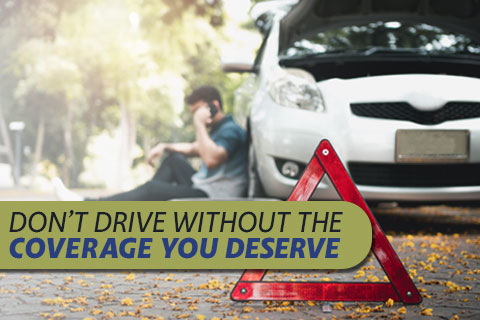 Vehicle Protection Plan