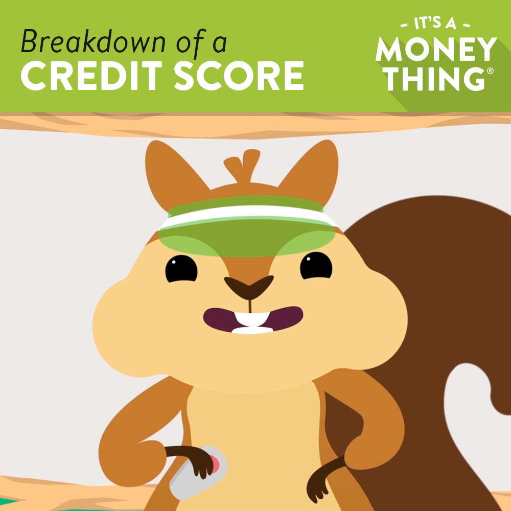 Breakdown of a Credit Score